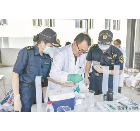 首批入境蓝鳍金枪鱼受精卵投入水产科研试验