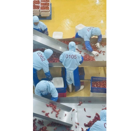 龙头产能落地监利！德善食品投产补齐本地小龙虾精深加工短板