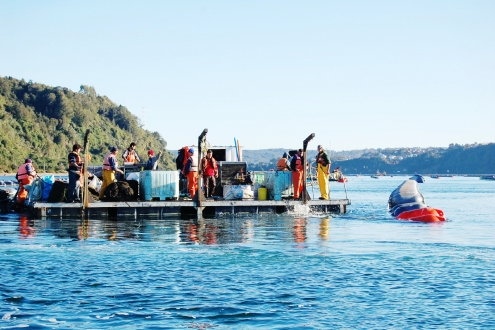 "智味臻藏，天涯美味" ——舌尖上的智利 再次回归2019上海渔博会！