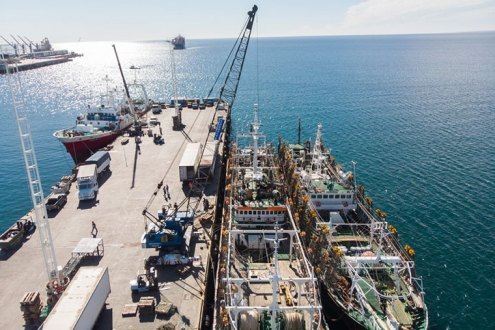 欧盟通报两例中国水产不合格 出口企业合规防控再敲警钟