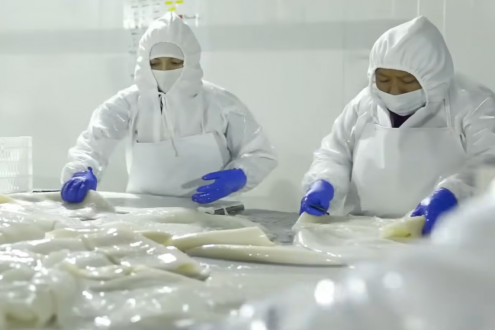 鱿鱼“注水”内幕：保水剂，是科技还是狠活？