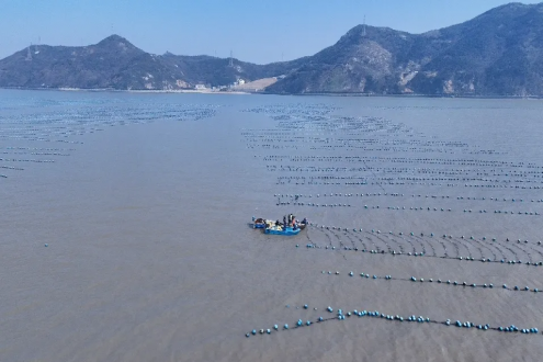 从“土特产”到“金招牌”，舟山海鲜的成功学如何copy？