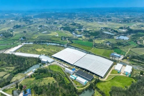 120万尾在养，总投超3.6亿，全国TOP5鲑鳟基地加速冲刺3000吨