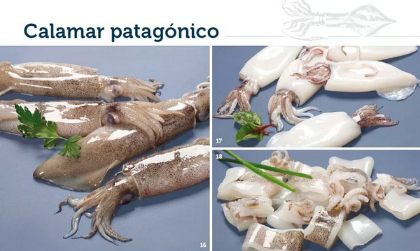 著名阿根廷红虾供应商IBERCONSA再助力上海国际渔博会(图6)