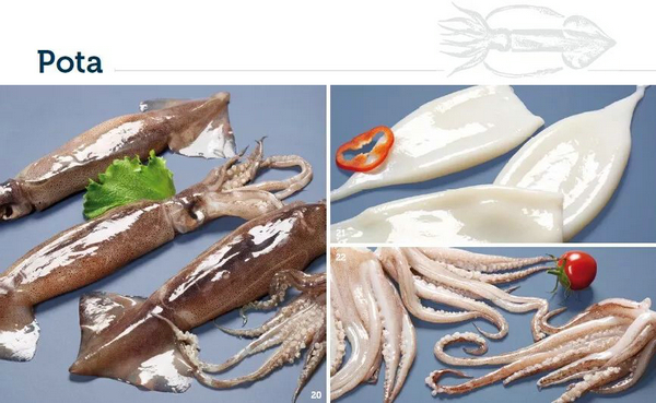 著名阿根廷红虾供应商IBERCONSA再助力上海国际渔博会(图7)