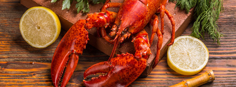 龙虾是中国时下最当红的海鲜吗？(图1)