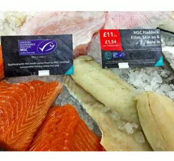 疫情影响！英国鱼类产品销售量增长了12%！(图2)