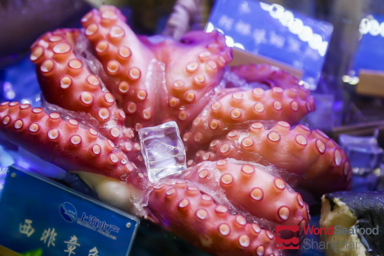 World Seafood Shanghai 2020 has come to a successful conclusion(图9)