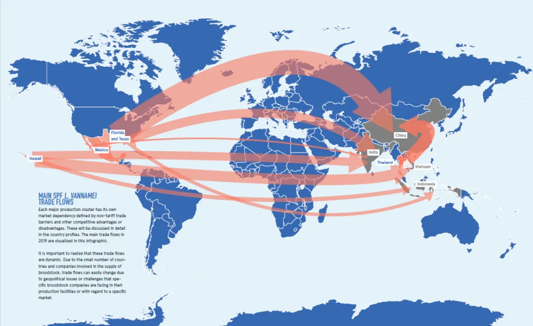 全球种虾产业报告出炉，详释后疫情时代种虾市场动态(图5)
