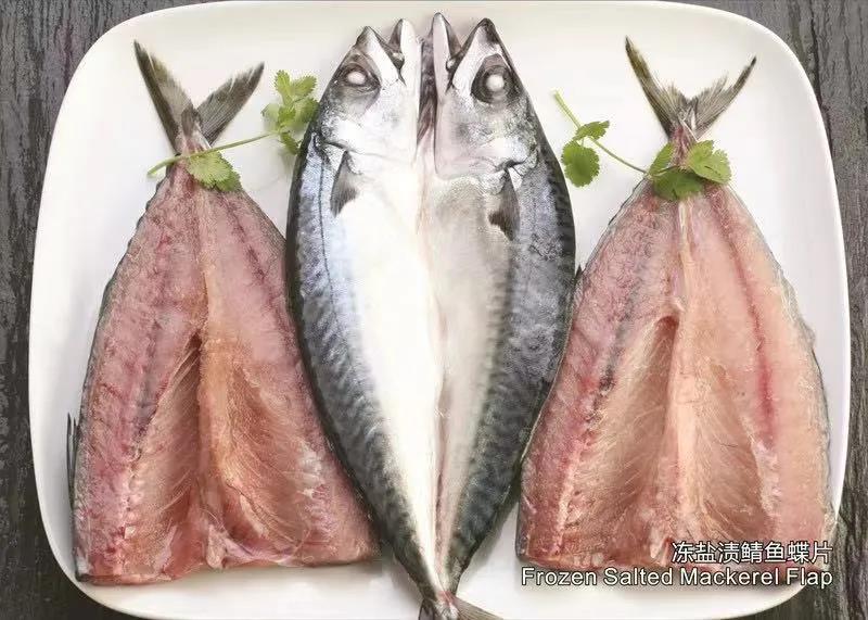 舟山市双赢水产有限公司——专业冷冻鲭鱼加工厂/Professional Mackerel Producer(图4)