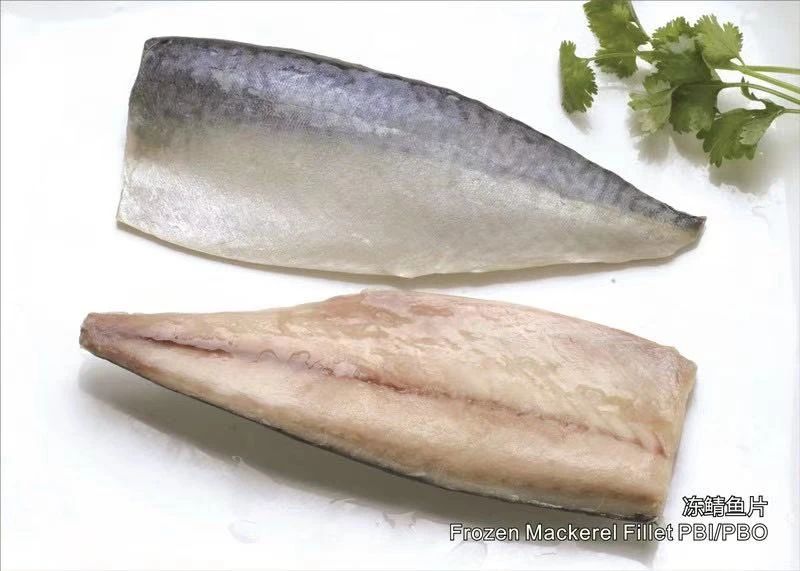 舟山市双赢水产有限公司——专业冷冻鲭鱼加工厂/Professional Mackerel Producer(图6)