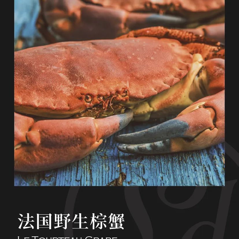 鼎宴食品（上海）有限公司——生活因美食而绽放(图21)